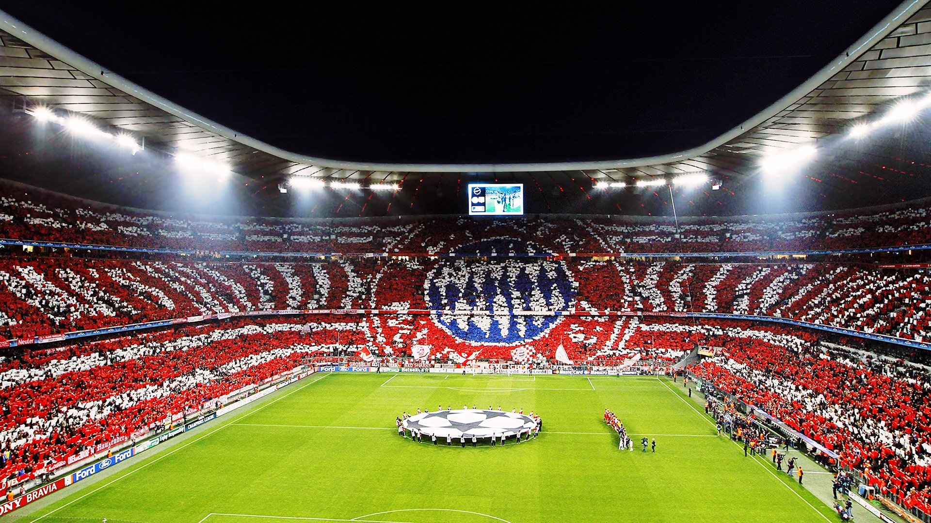 国际拳击退役安置平台新增职业培训合作院校,国际业余拳击协会